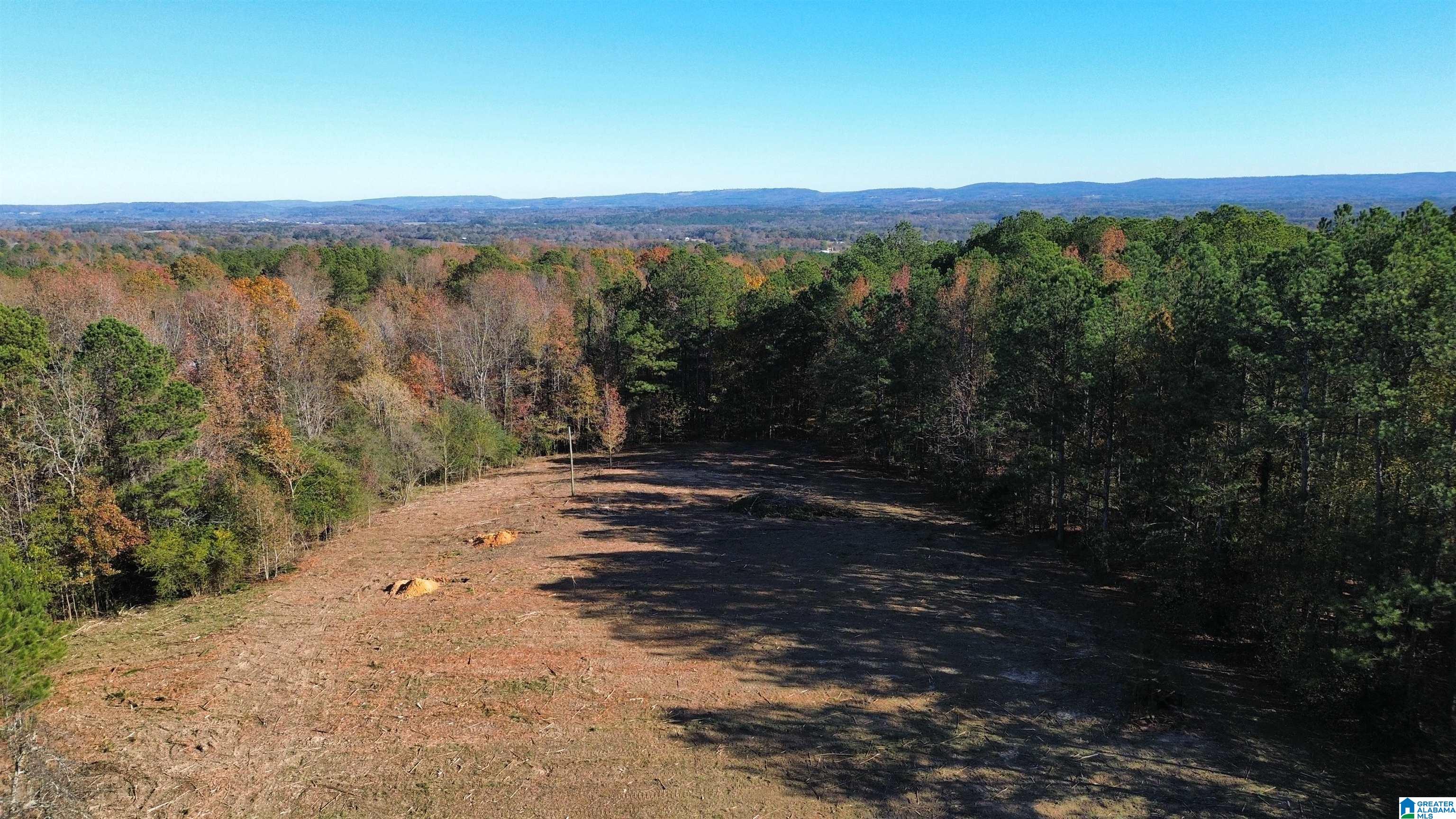 171 Water Tank Road, Unit 1 62 Hayden, AL 35079 - Photo 1 of 5