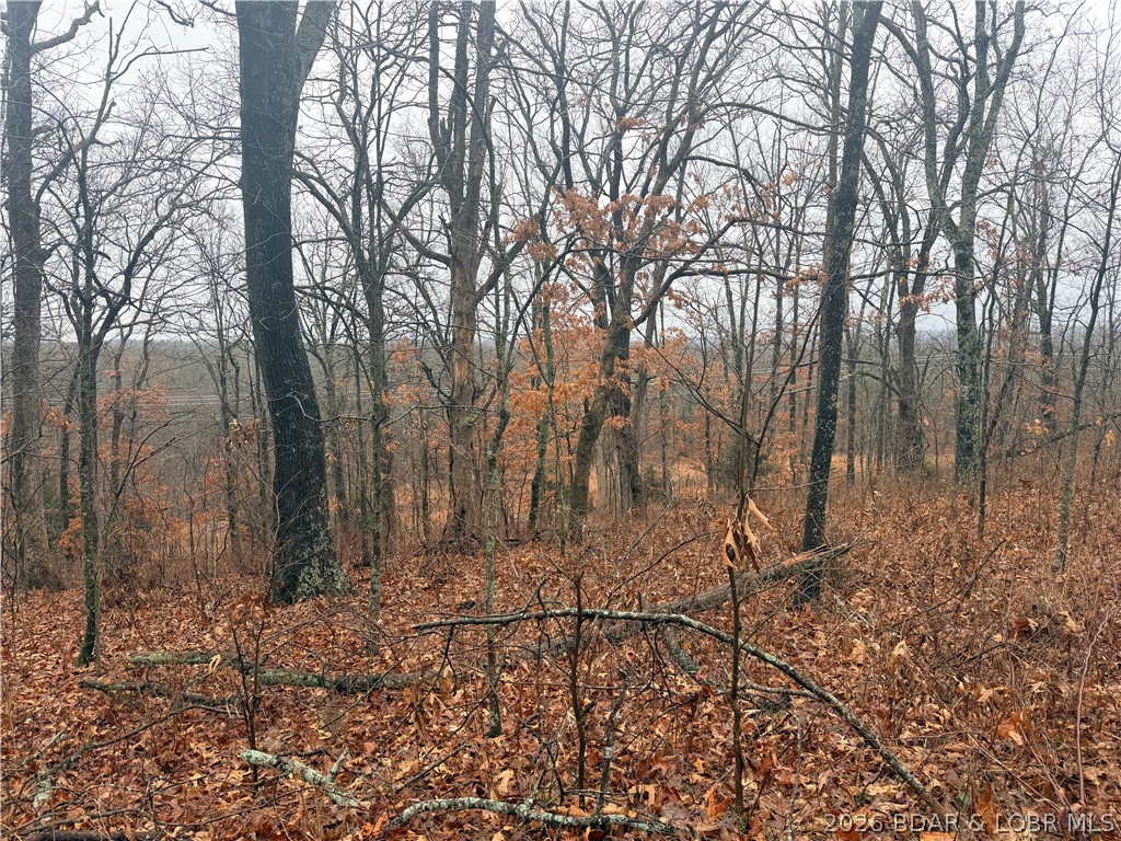 Nile Road Stover, MO 65078 - Photo 1 of 1