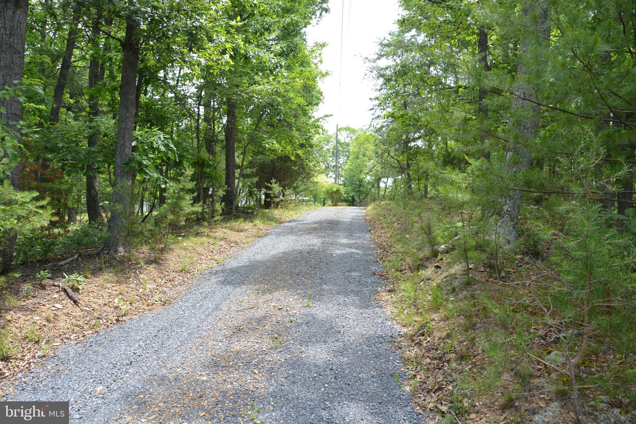 Two Lots On Siler Road Winchester, VA 22603 - Photo 19 of 38 a view of a dirt road with trees in the background