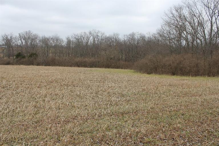 200 Elm Corner Road Versailles, KY 40383 - Photo 1 of 6 Photo 1