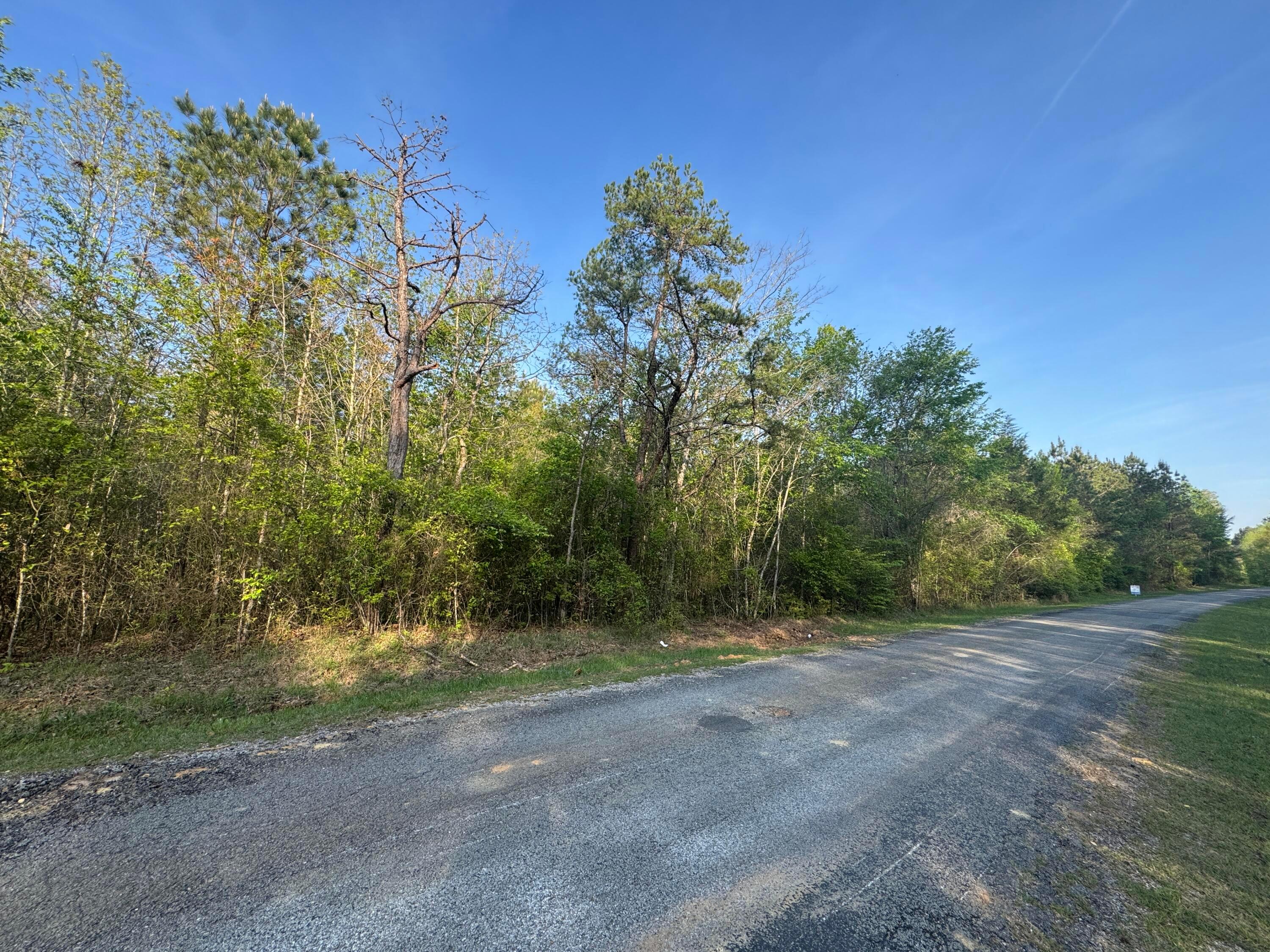 Harbor Road Winfield, AL 35594 - Photo 6 of 6 IMG_4619