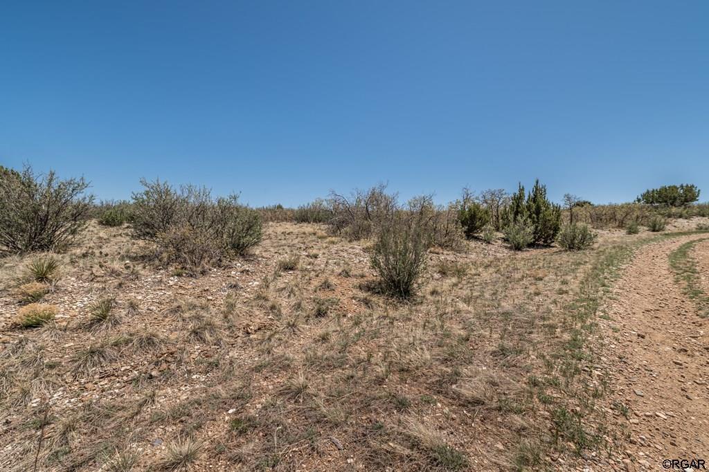 Lot 251 Senic Lane Rye, CO 81069 - Photo 5 of 11 Gallery Image 5