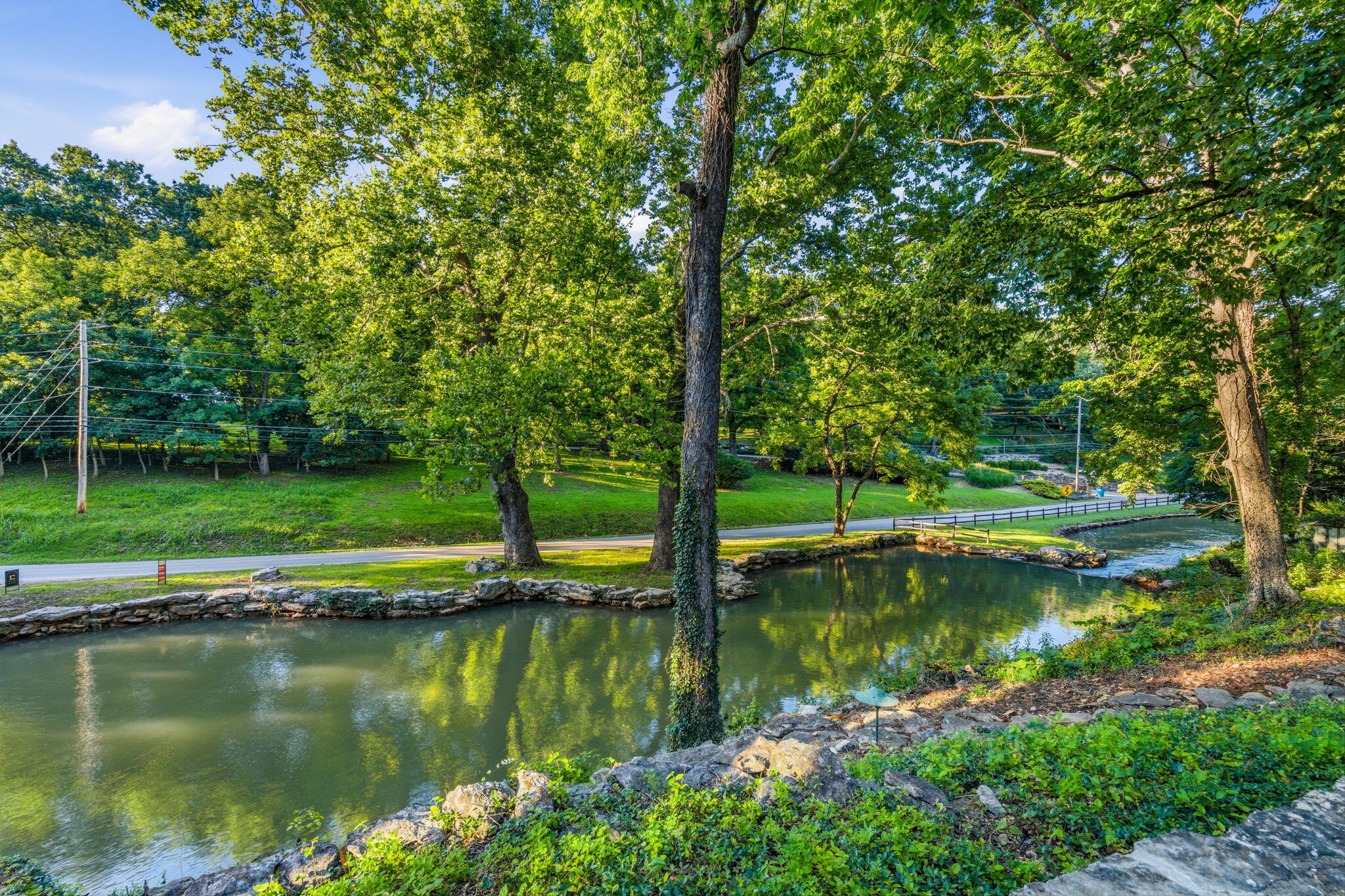 1318 South Jones Mill Lane Springfield, MO 65809 - Photo 108 of 122 90-web-or-mls-DSC04455