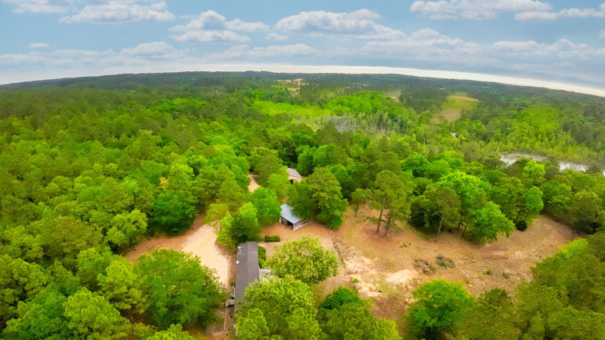 231 Holley Pond Road Batesburg, SC 29006 - Photo 11 of 23 3-web-or-mls-DJI_0007