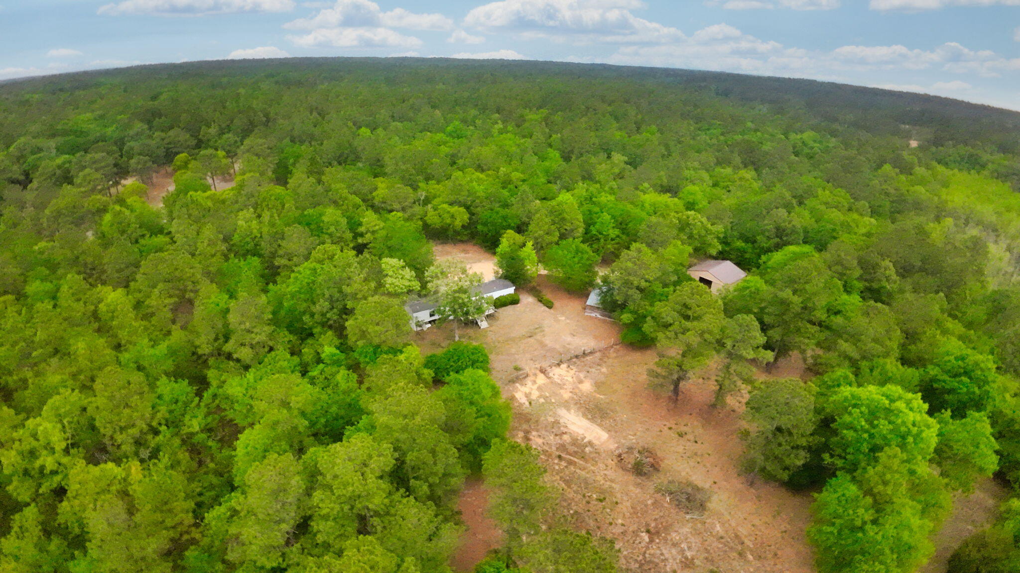 231 Holley Pond Road Batesburg, SC 29006 - Photo 12 of 23 5-web-or-mls-DJI_0009