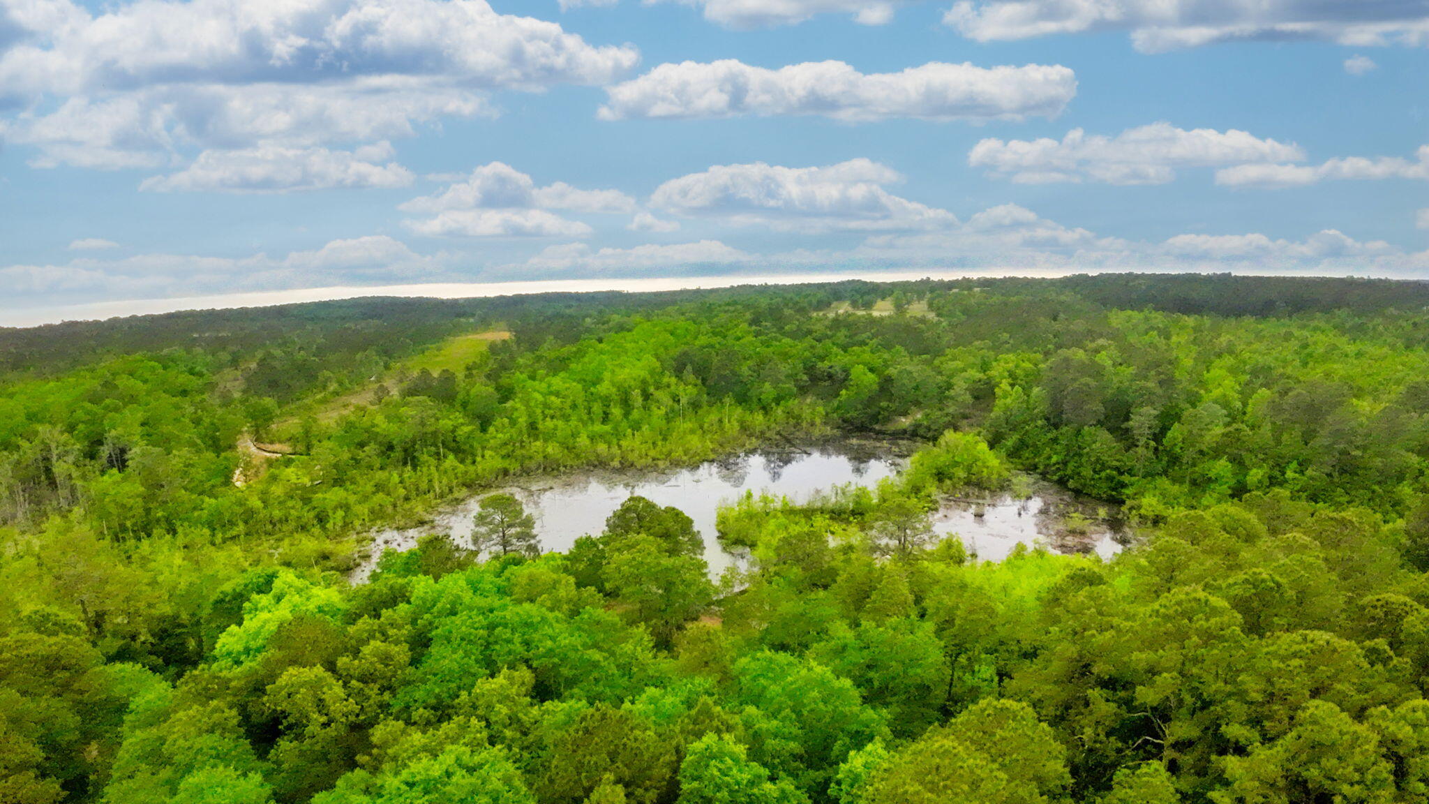 231 Holley Pond Road Batesburg, SC 29006 - Photo 13 of 23 6-web-or-mls-DJI_0010