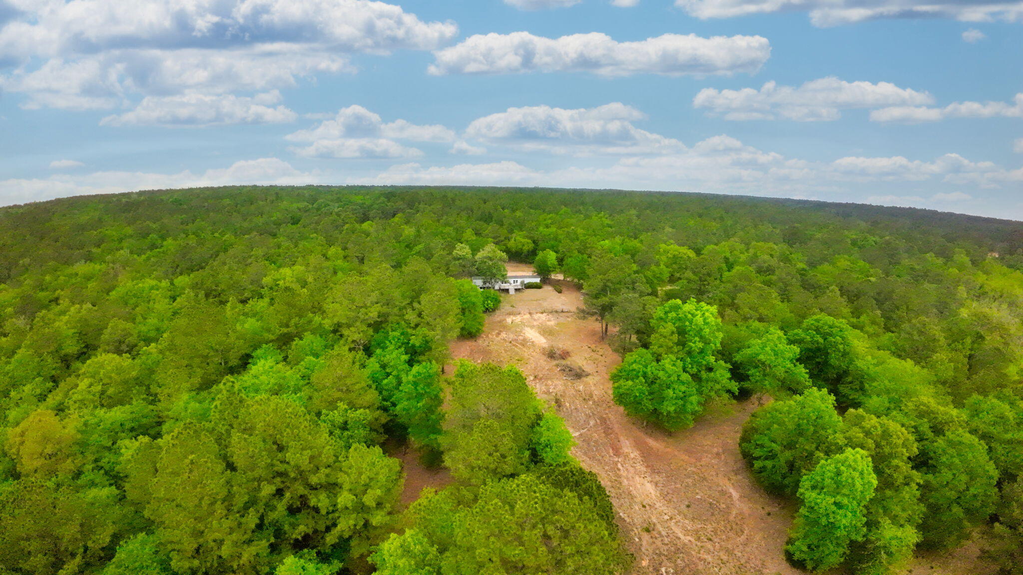 231 Holley Pond Road Batesburg, SC 29006 - Photo 14 of 23 7-web-or-mls-DJI_0011