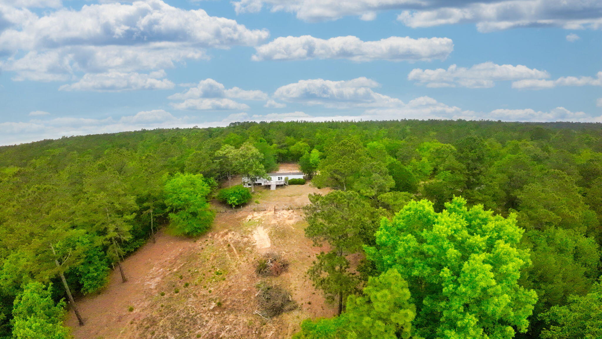 231 Holley Pond Road Batesburg, SC 29006 - Photo 15 of 23 8-web-or-mls-DJI_0012