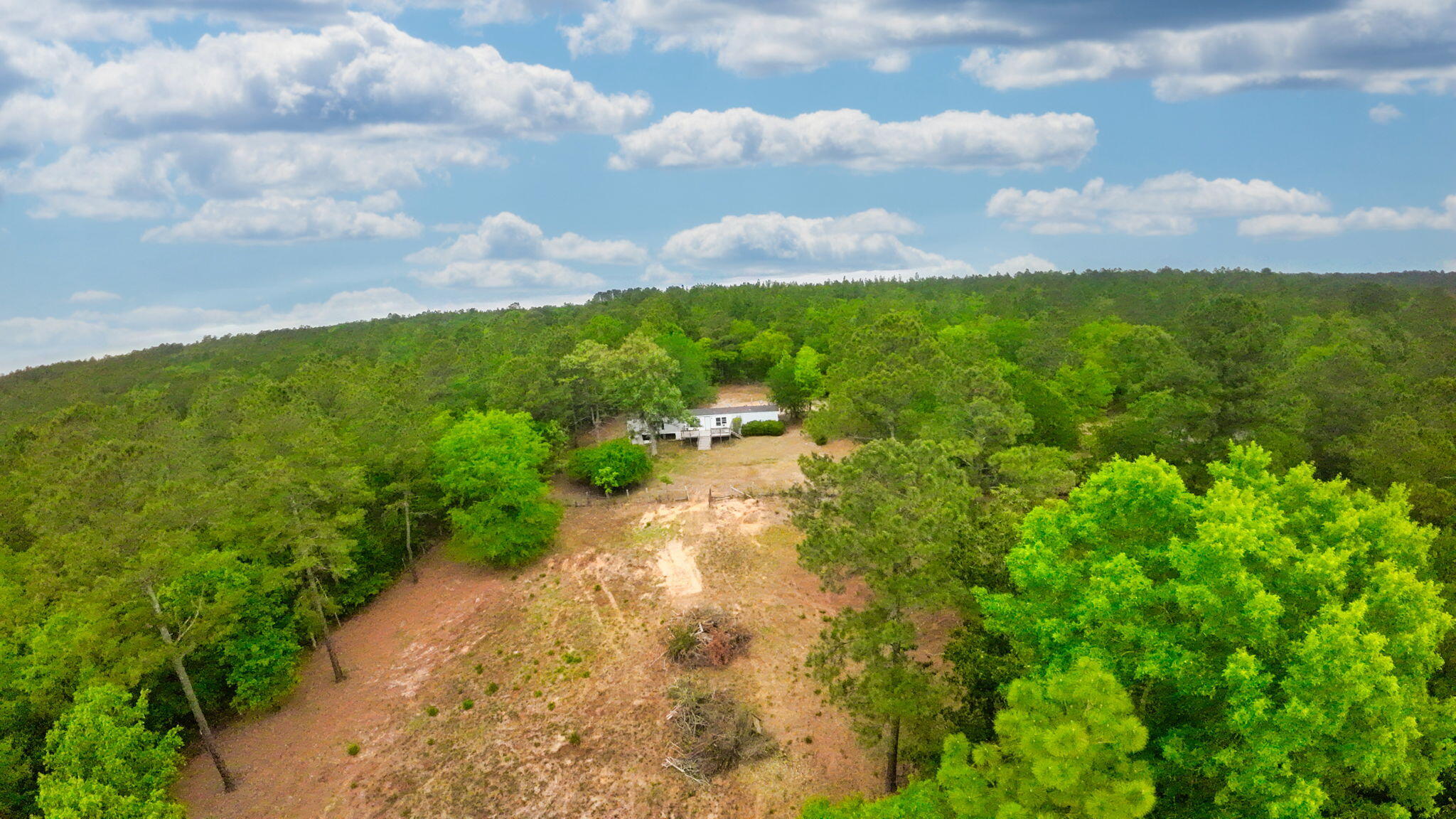 231 Holley Pond Road Batesburg, SC 29006 - Photo 16 of 23 9-web-or-mls-DJI_0013