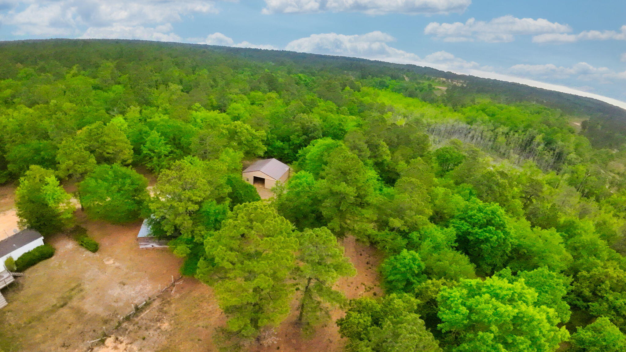 231 Holley Pond Road Batesburg, SC 29006 - Photo 17 of 23 10-web-or-mls-DJI_0014