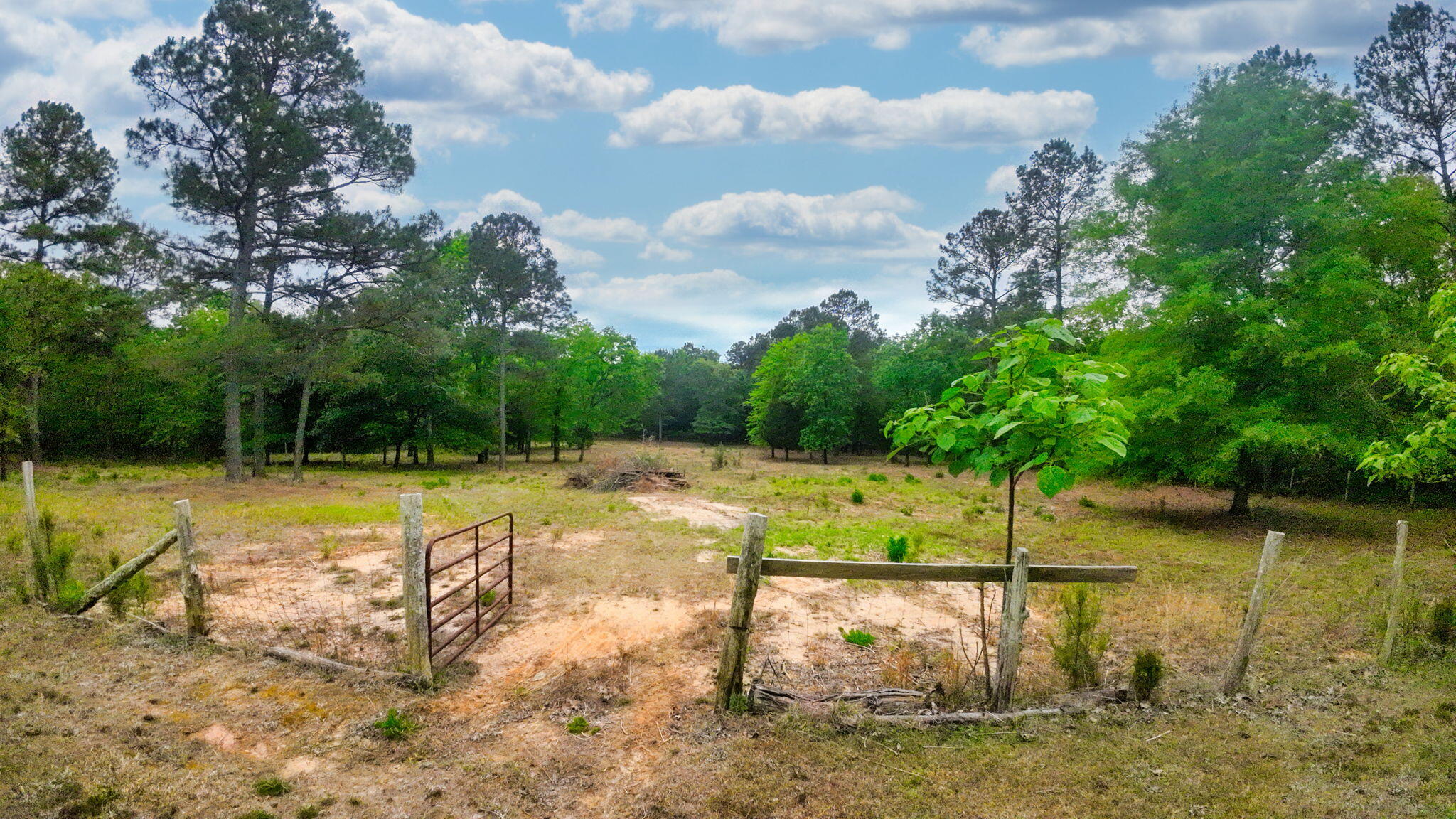 231 Holley Pond Road Batesburg, SC 29006 - Photo 18 of 23 11-web-or-mls-DJI_0015