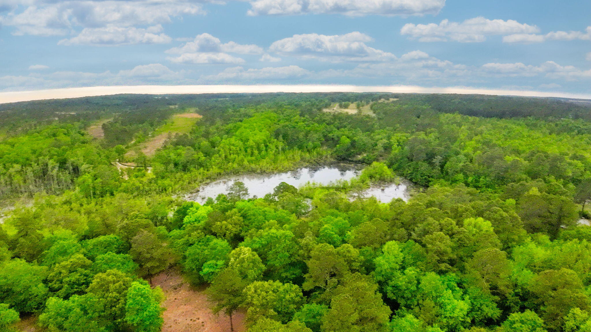 231 Holley Pond Road Batesburg, SC 29006 - Photo 2 of 23 4-web-or-mls-DJI_0008