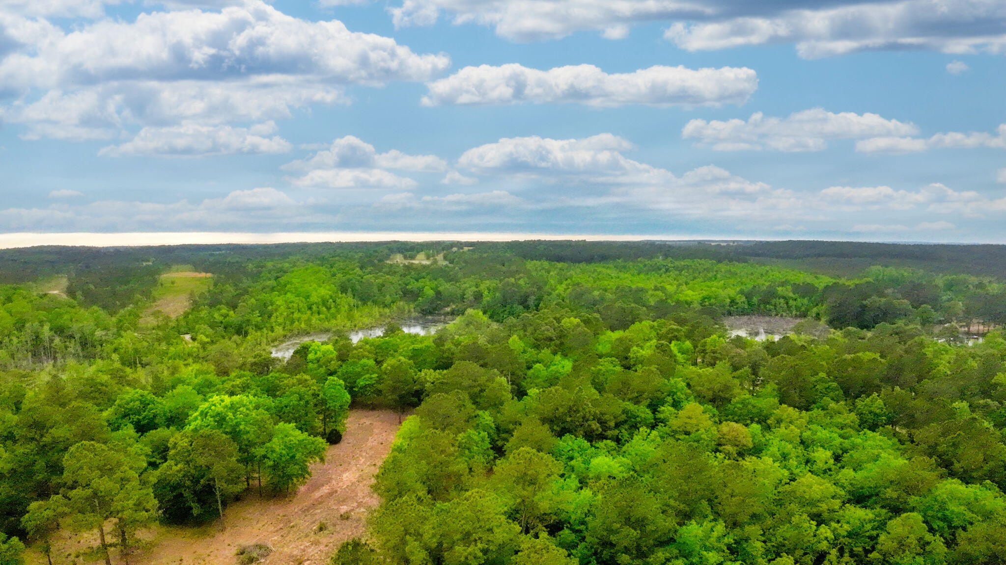 231 Holley Pond Road Batesburg, SC 29006 - Photo 3 of 23 2-web-or-mls-DJI_0006