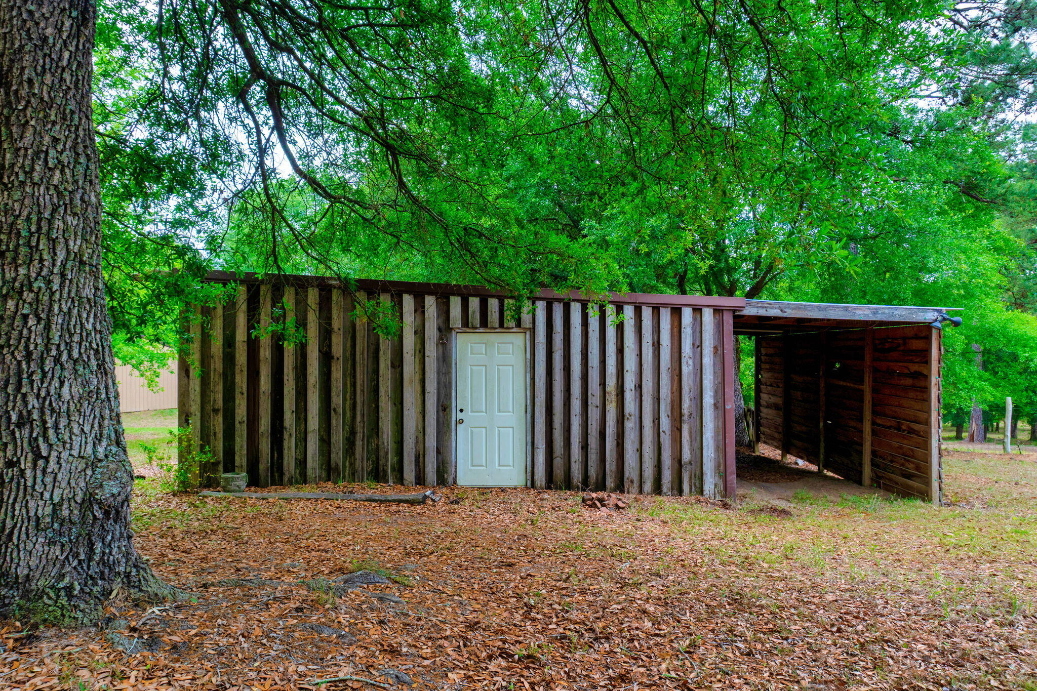231 Holley Pond Road Batesburg, SC 29006 - Photo 7 of 23 19-web-or-mls-DSC06242-HDR