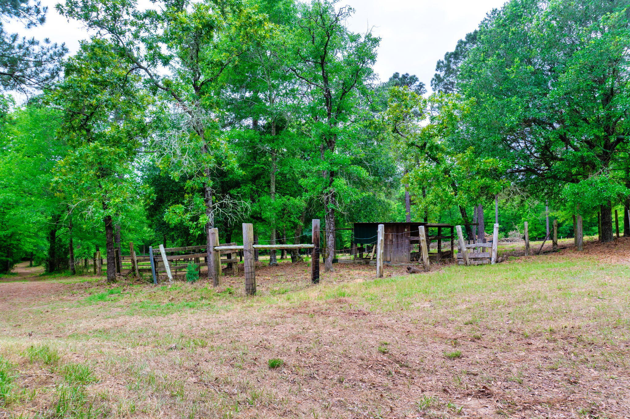 231 Holley Pond Road Batesburg, SC 29006 - Photo 9 of 23 24-web-or-mls-DSC06267-HDR