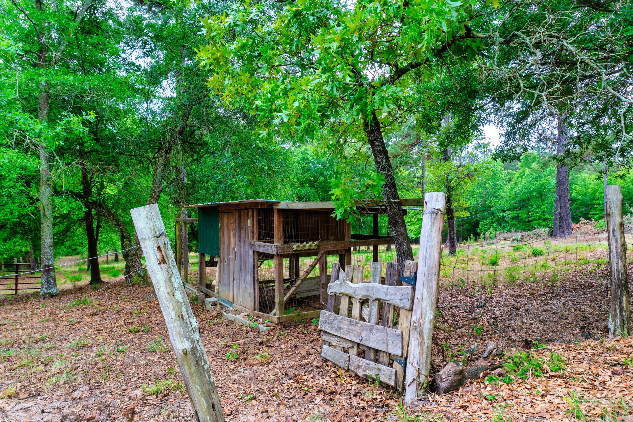231 Holley Pond Road Batesburg, SC 29006 - Photo 10 of 23 25-web-or-mls-DSC06272-HDR