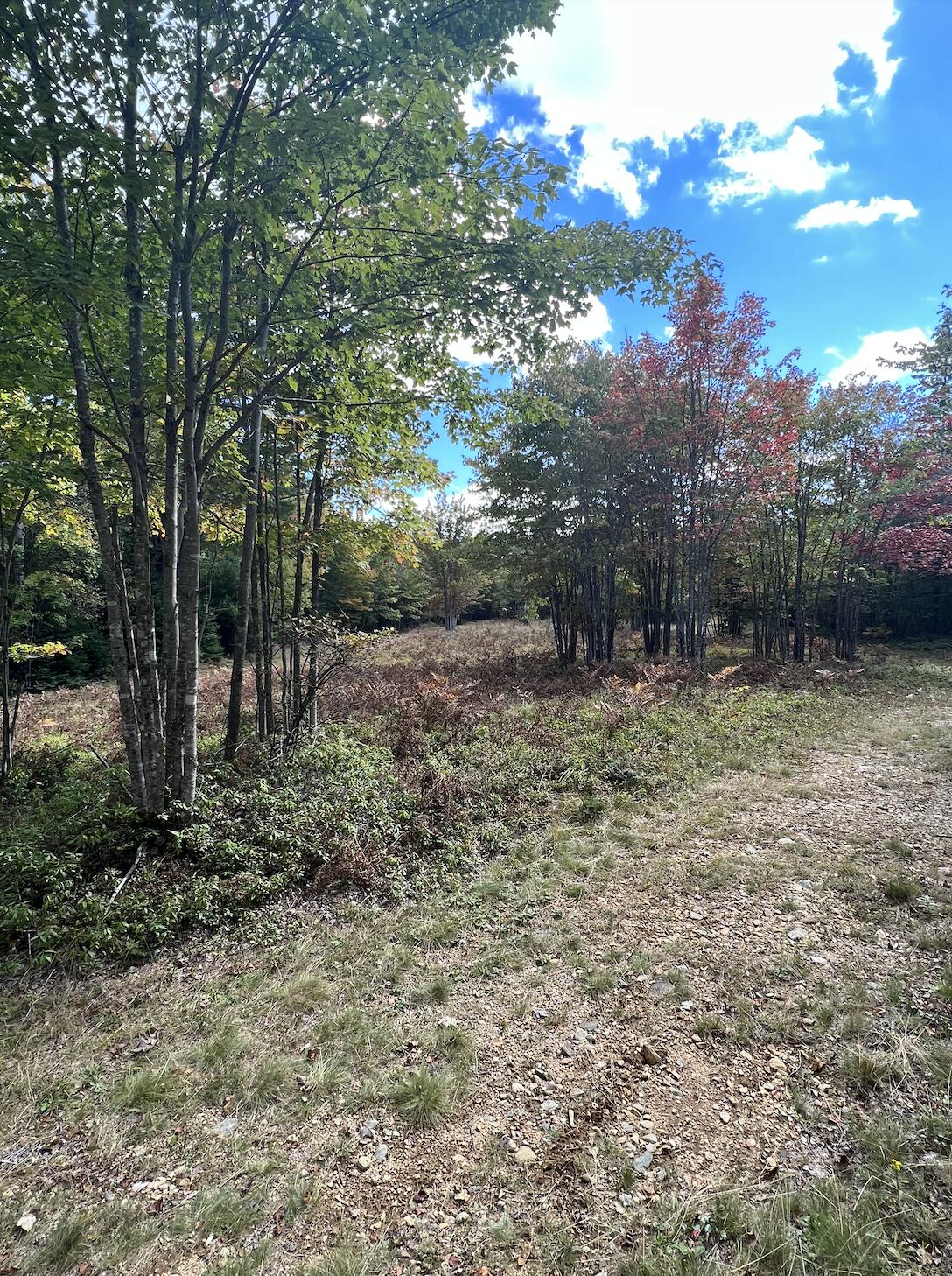 0 Pleasant River Road Harrington, ME 04643 - Photo 35 of 39 Screen Shot 2022-09-29 at 10.16.53 AM