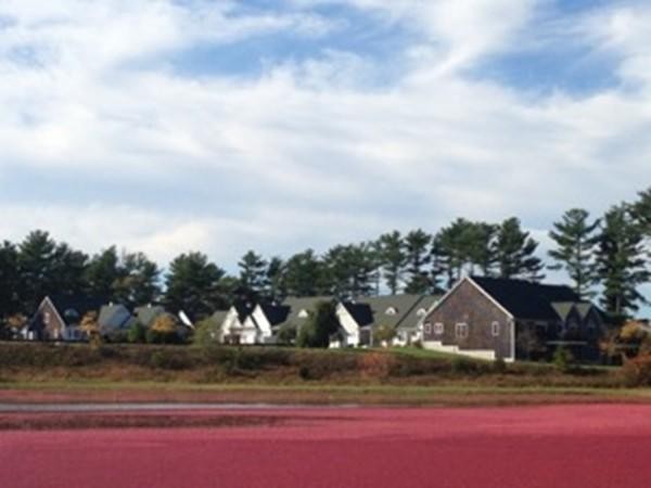13 Pine Ridge Way, Unit 13 Carver, MA 02330 - Photo 7 of 13 Gallery Image 7