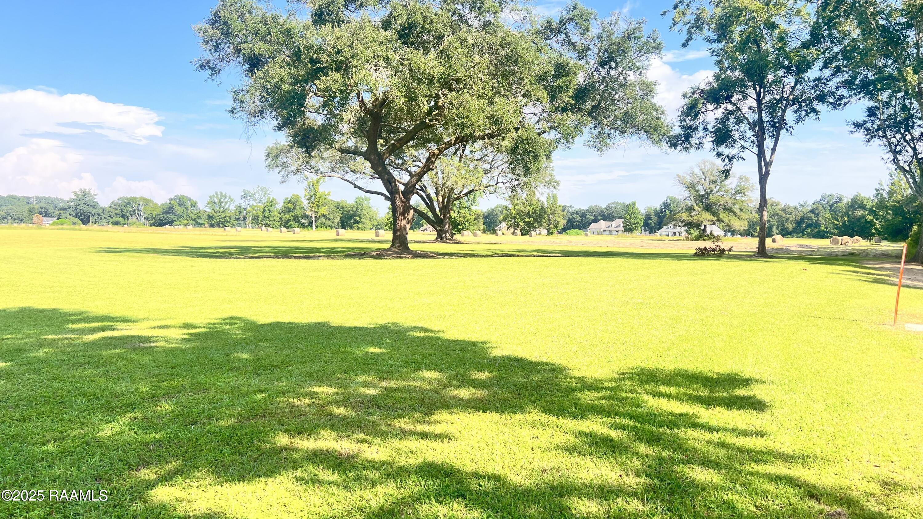 Begnaud Road Sunset, LA 70584 - Photo 3 of 7 IMG_6726