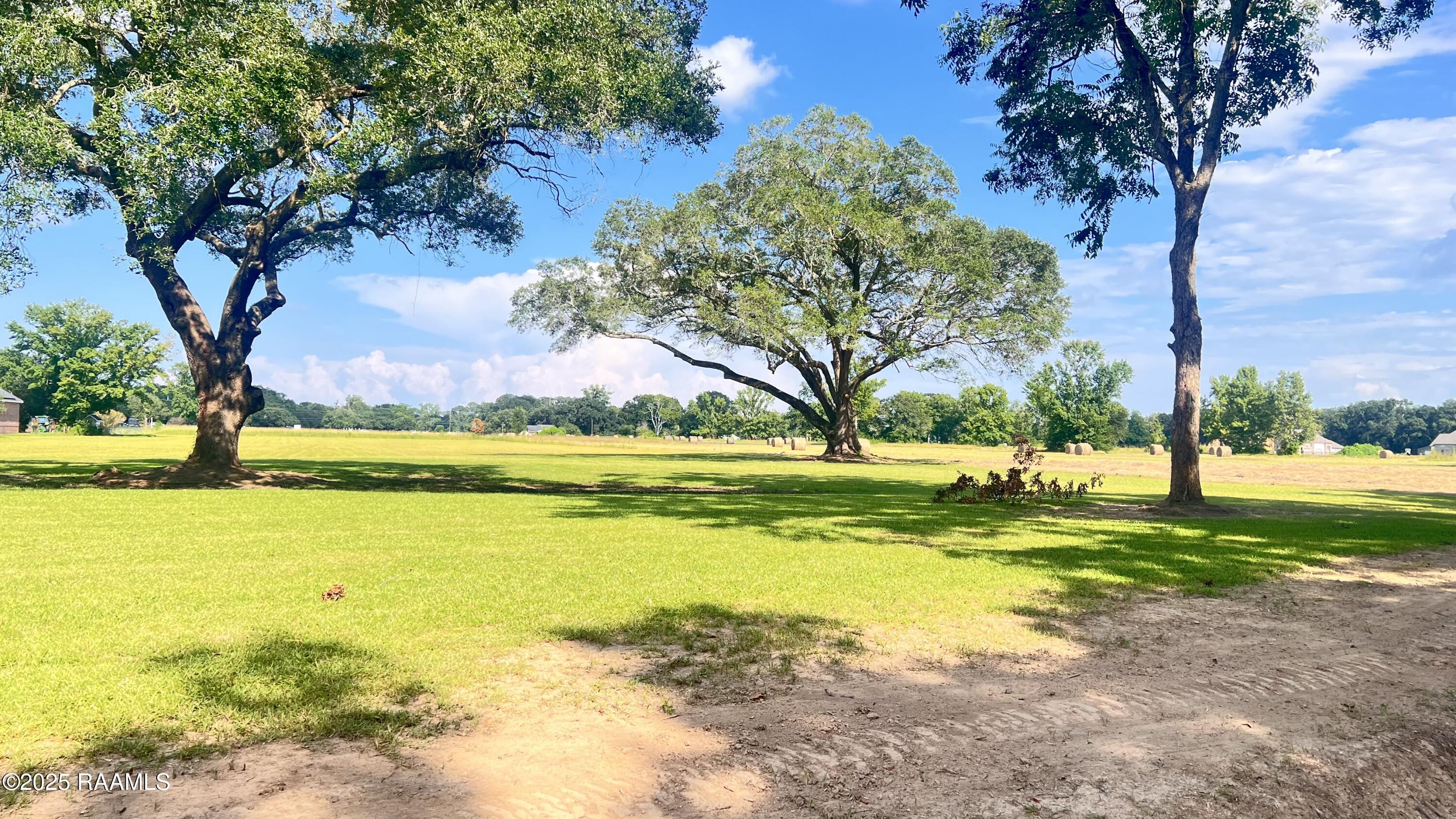 Begnaud Road Sunset, LA 70584 - Photo 6 of 7 IMG_6722
