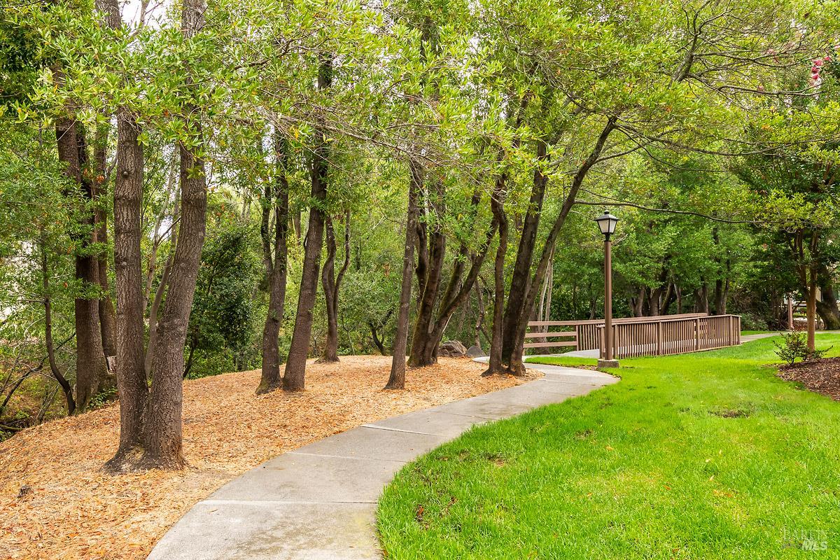 16 California Condor Way Novato, CA 94949 - Photo 17 of 21 a view of a park with large trees