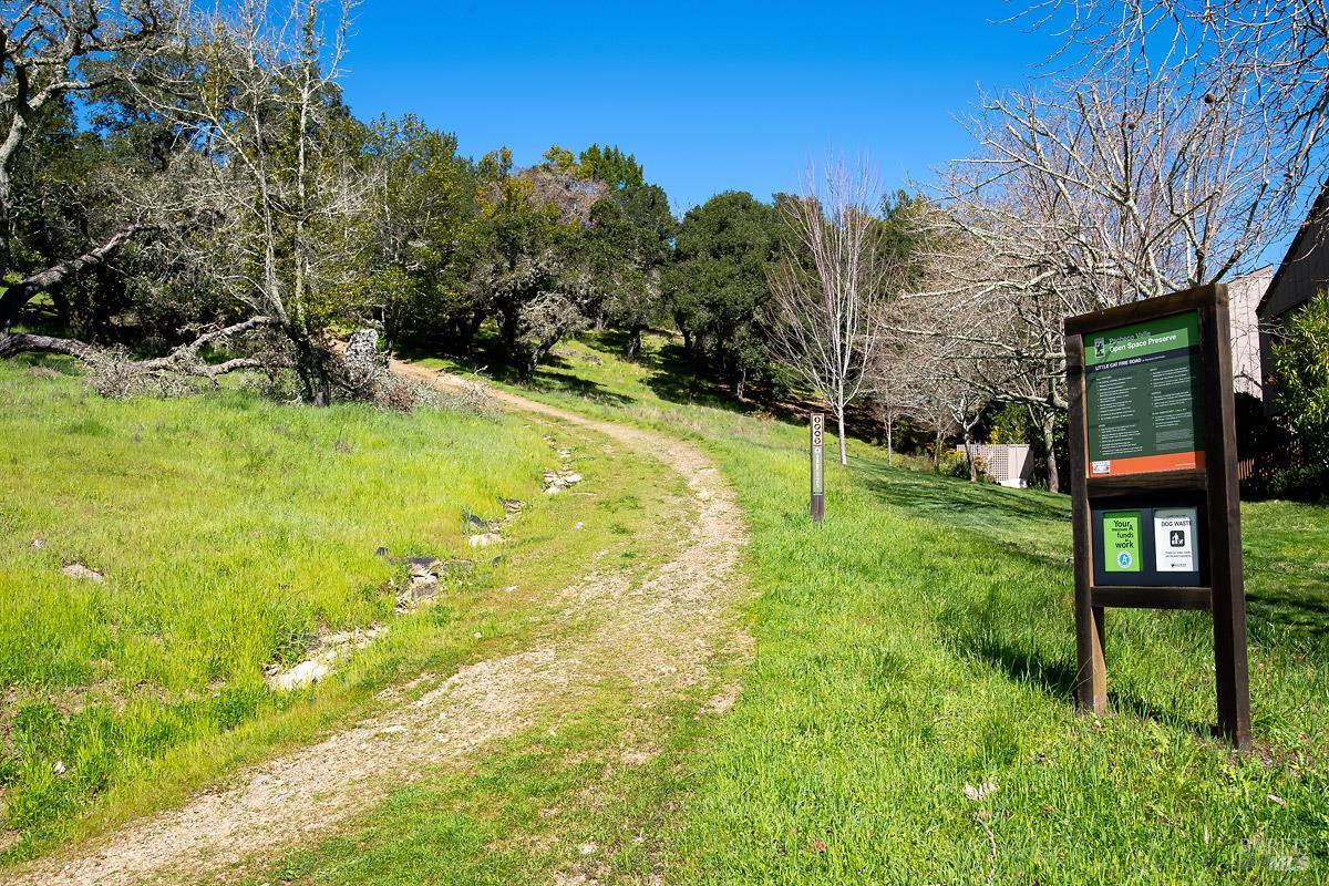 16 California Condor Way Novato, CA 94949 - Photo 20 of 21 a view of a garden