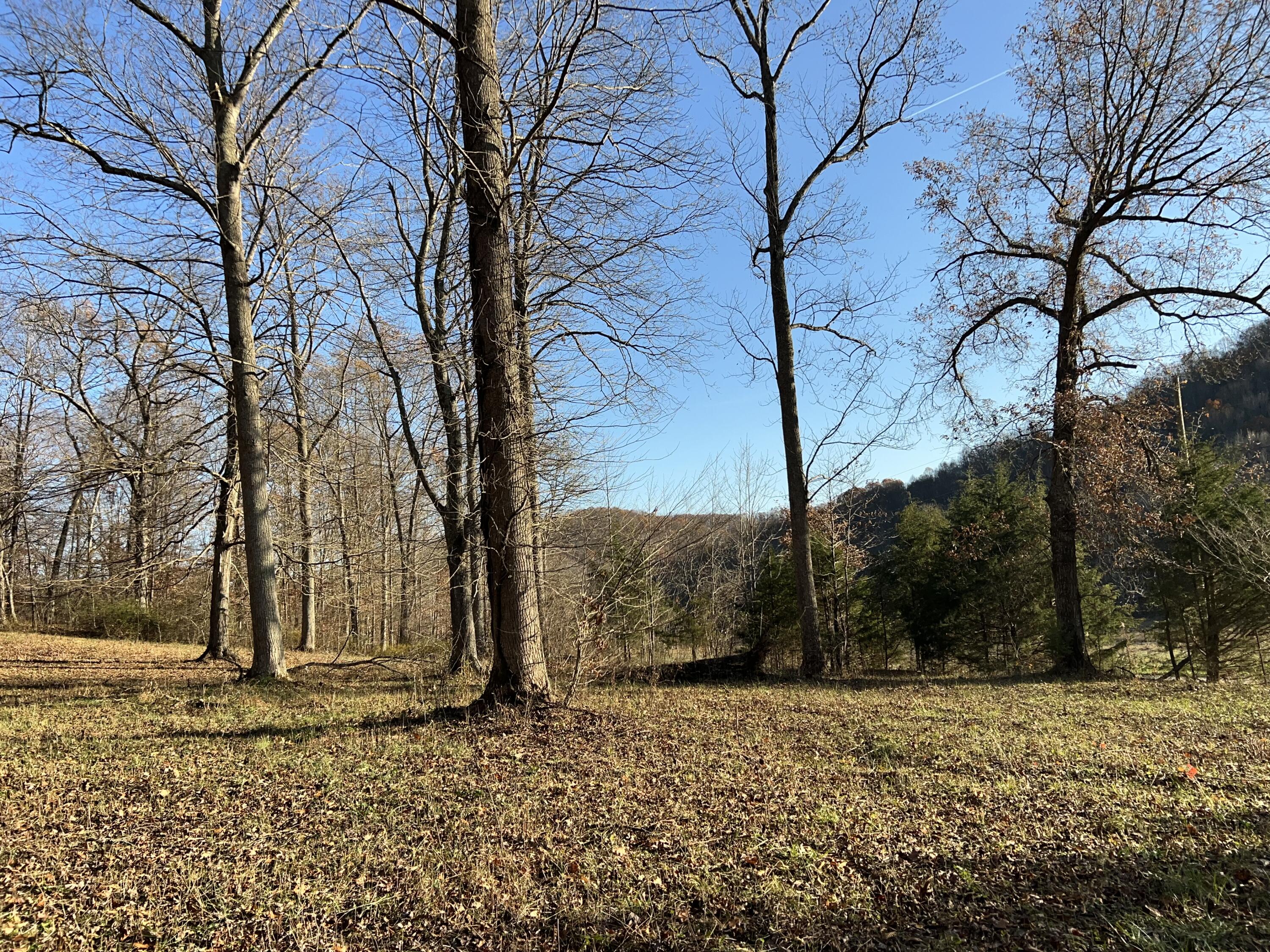 0 West Bowman Springs Road Wallingford, KY 41093 - Photo 4 of 13 IMG_2744
