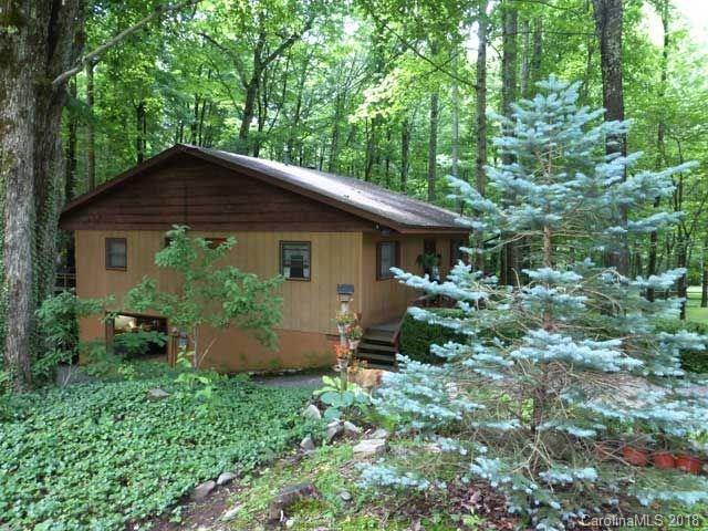 236 Laurel Branch Road Maggie Valley, NC 28751 - Photo 15 of 24