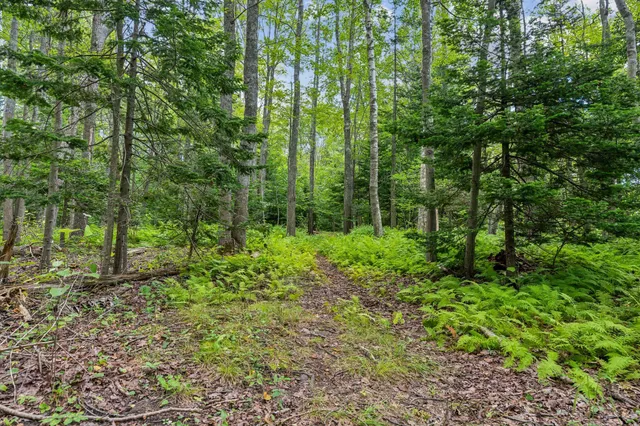 $595,000 | Lot#8 C North Road, Chebeague Island, ME 04017