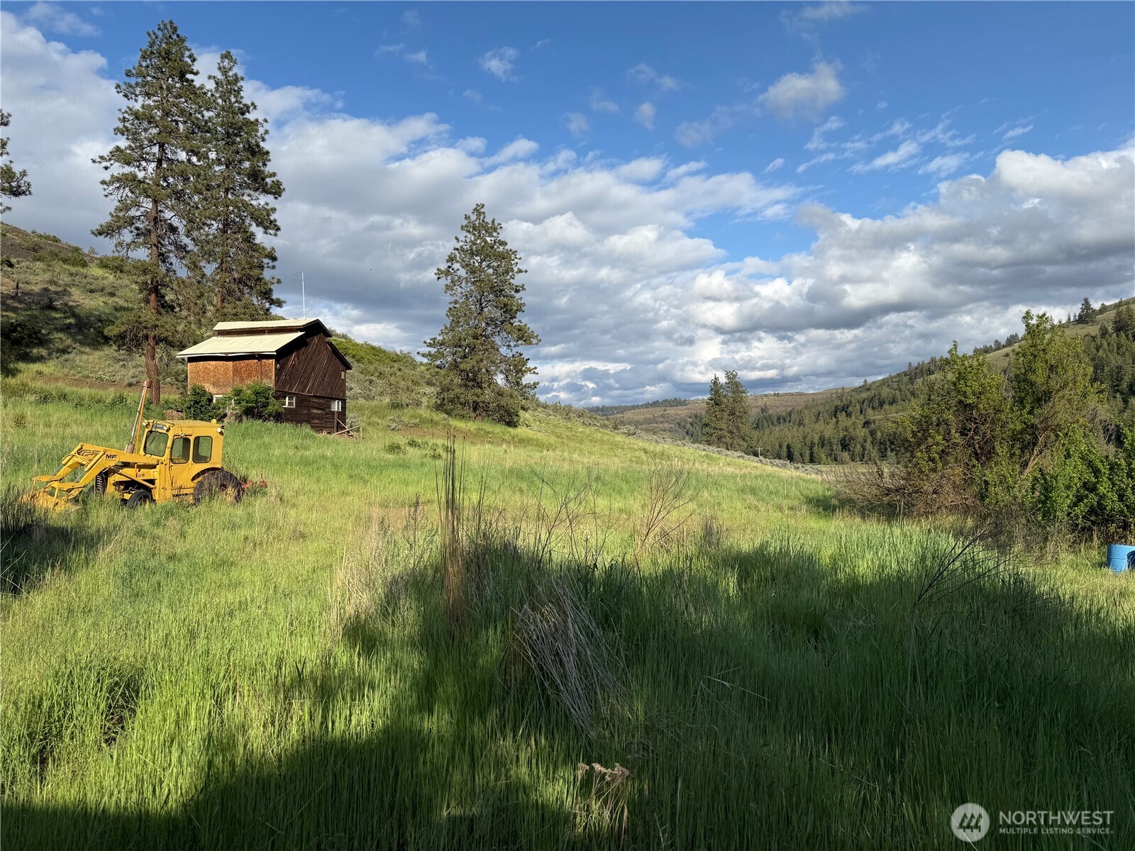 37235 Redwine Canyon Road Creston, WA 99117 - Photo 15 of 23 Gallery Image 15