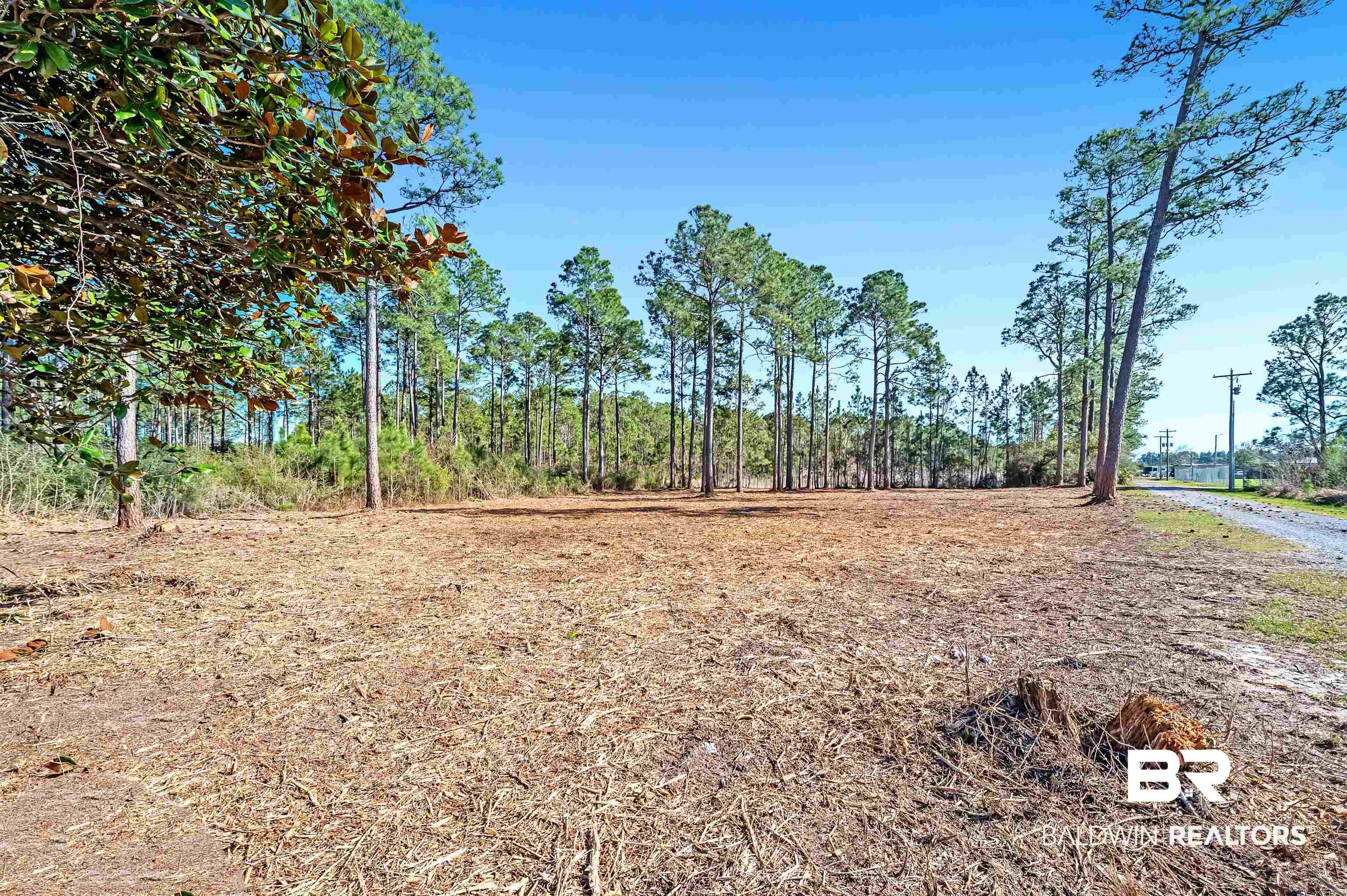 0 Canal Road Orange Beach, AL 36561 - Photo 7 of 25 View of nature