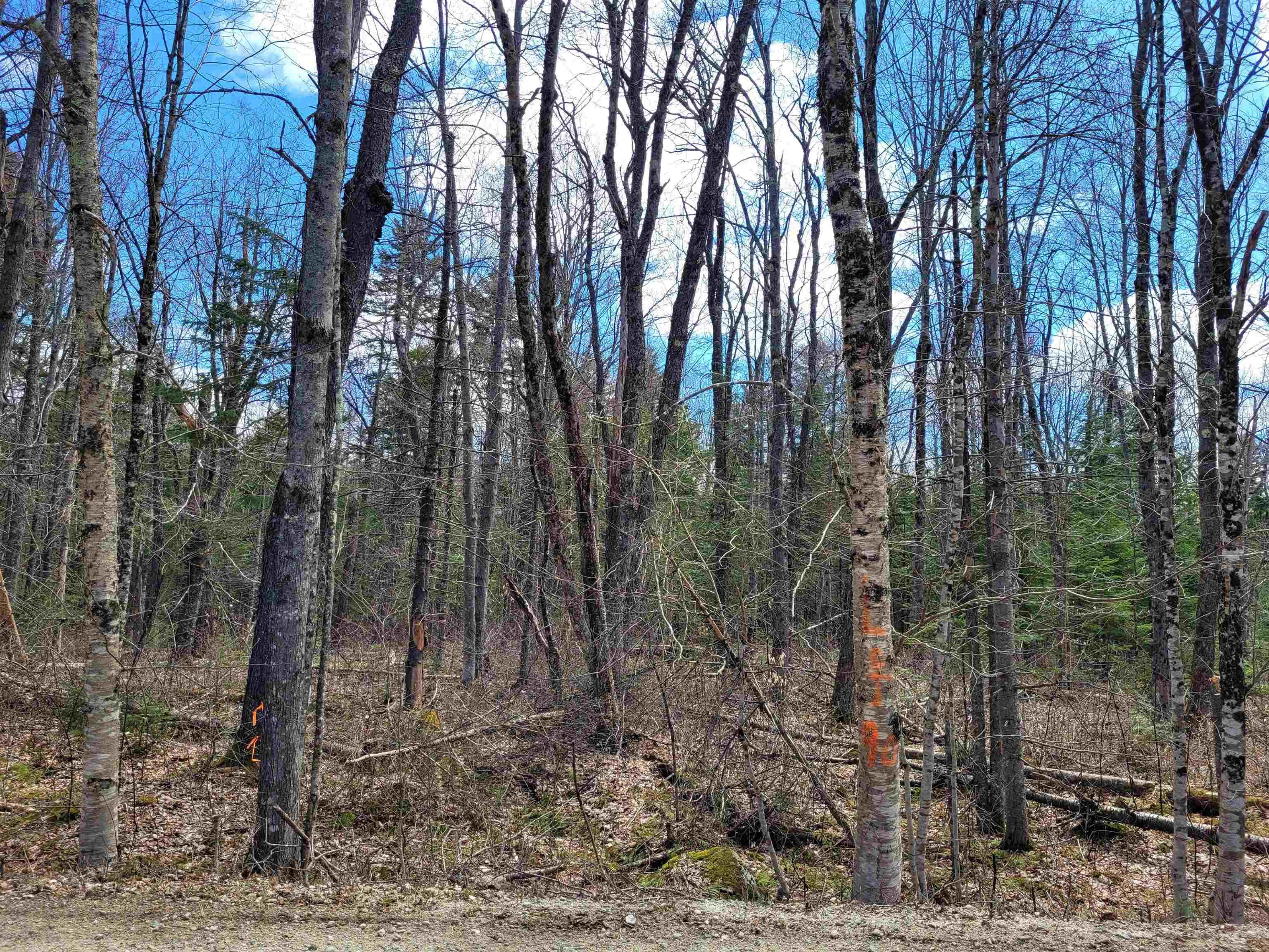M14-l90 Grant Road Washington, NH 03280 - Photo 1 of 19 Gallery Image 1
