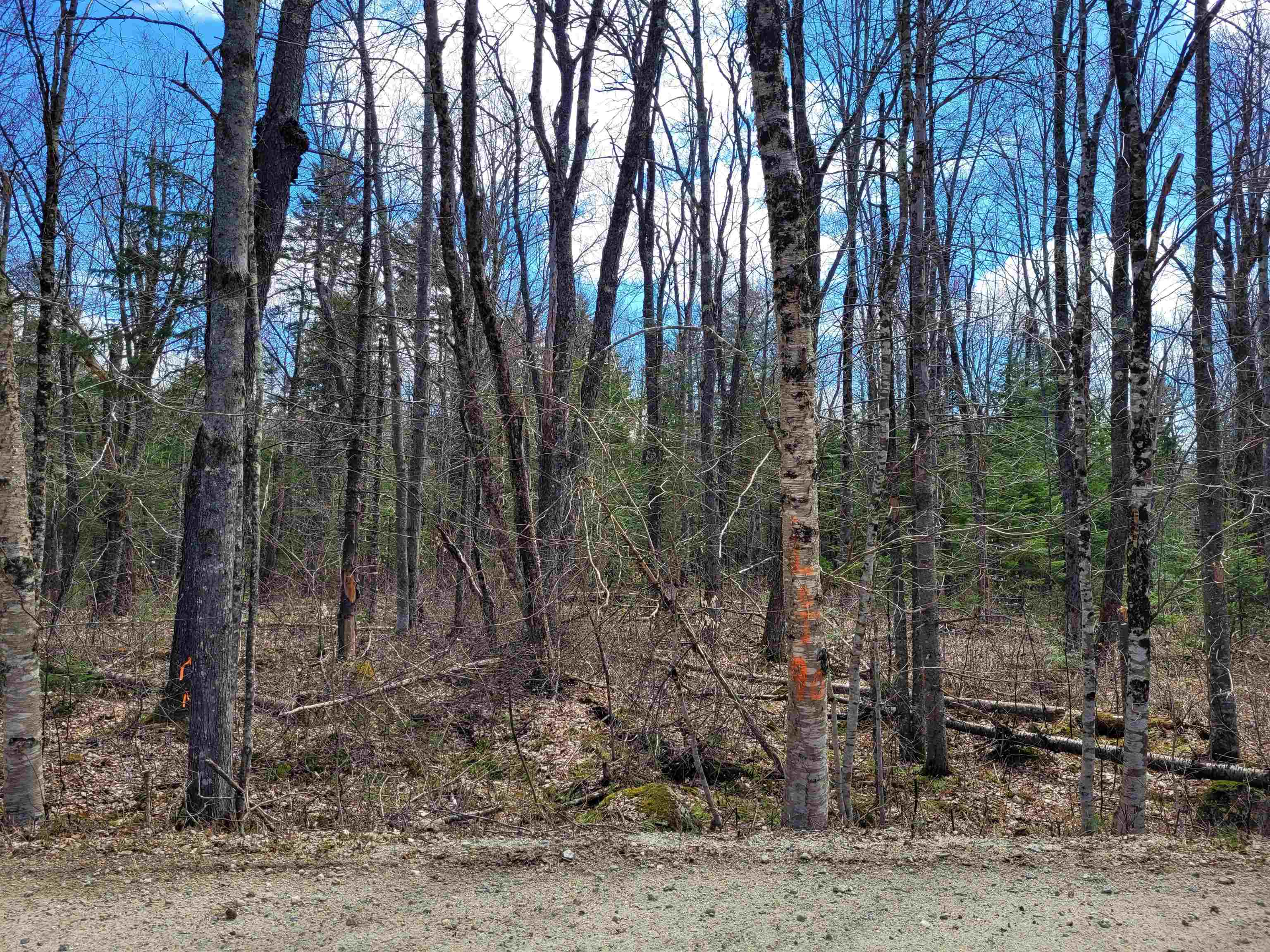 M14-l90 Grant Road Washington, NH 03280 - Photo 2 of 19 Gallery Image 2