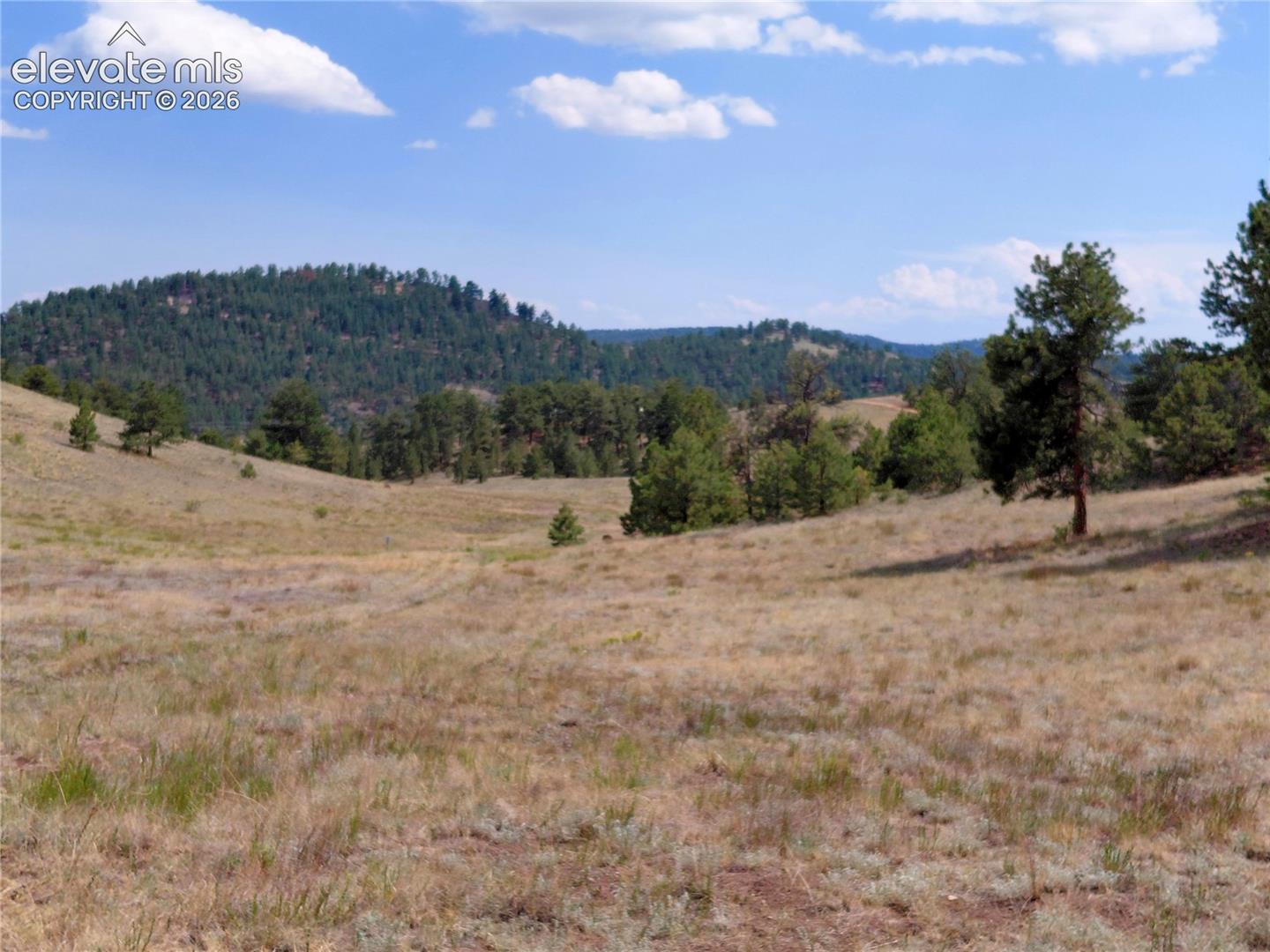 70 Owls Nest Road Guffey, CO 80820 - Photo 1 of 26 Gallery Image 1