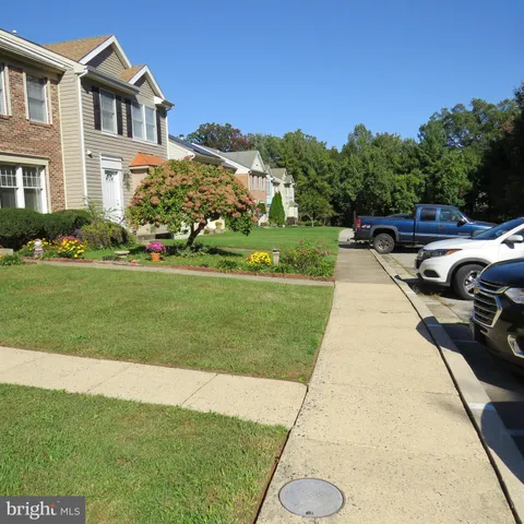 a view of a park with large trees