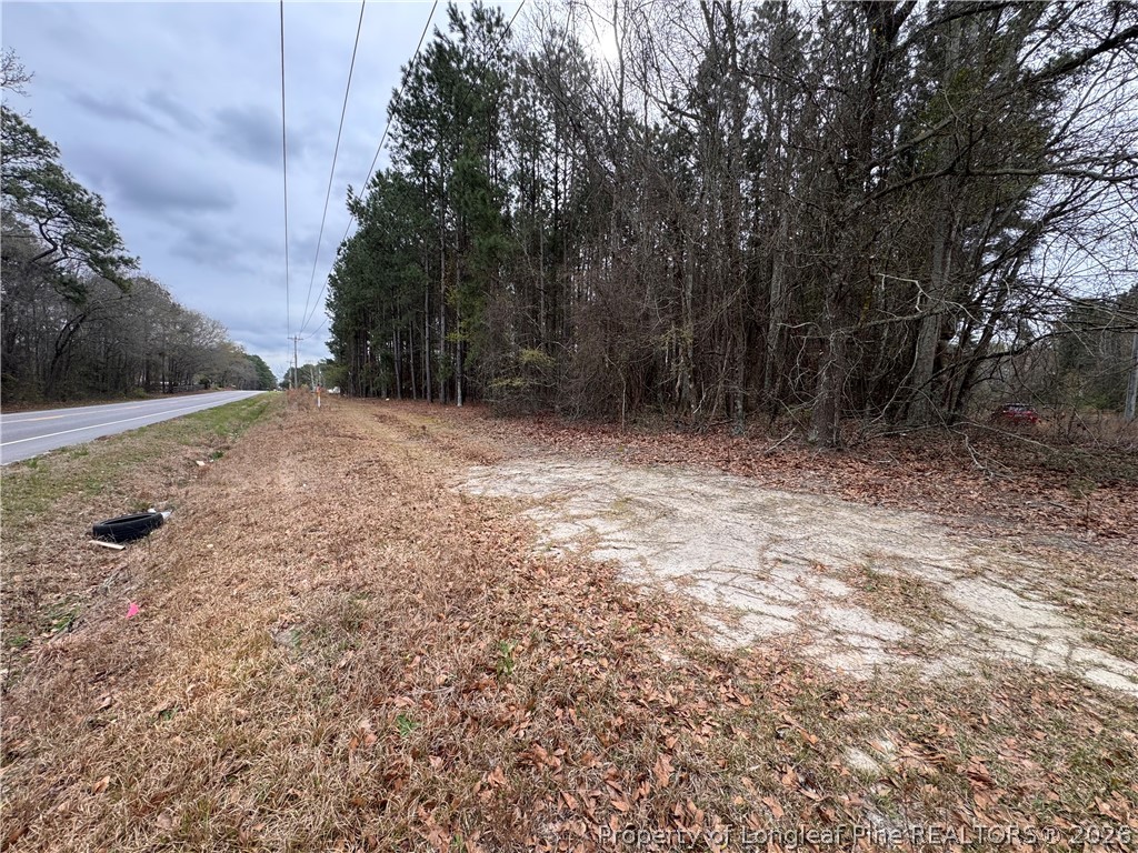 0 Brisson Road Parkton, NC 28371 - Photo 3 of 4 a view of backyard with green space