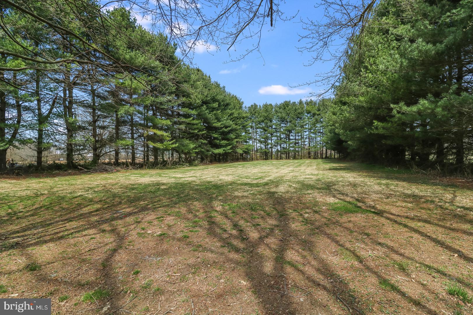 71 Cole Road Townsend, DE 19734 - Photo 28 of 30 Look at this backyard!