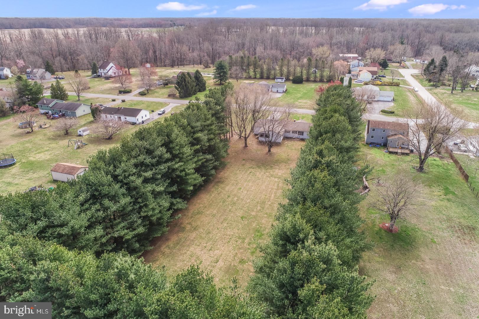 71 Cole Road Townsend, DE 19734 - Photo 5 of 30 Tree Lined Backyard