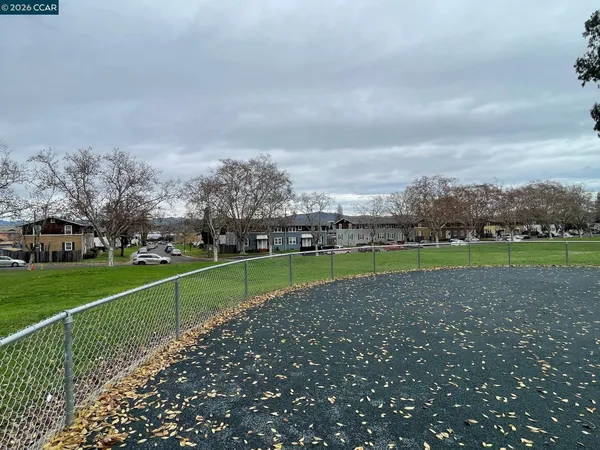 a view of a park with large trees