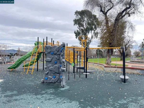 a view of a park with entertaining space