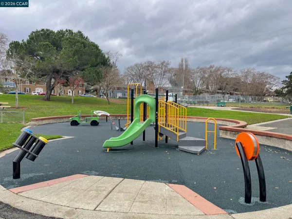 a view of a park with large trees
