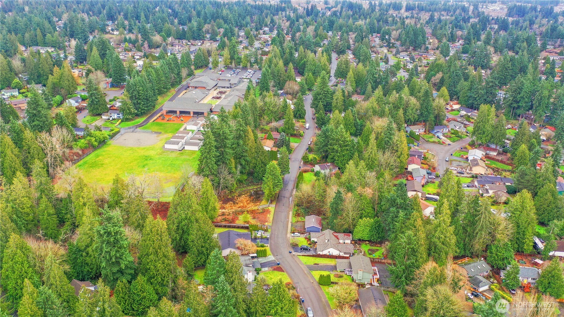 1822 171st Place Southeast Bothell, WA 98012 - Photo 32 of 36 a view of a yard with plants