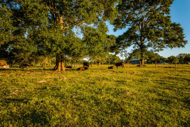 a large building with trees in the background