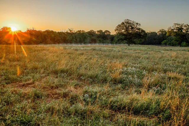a view of a field with an ocean