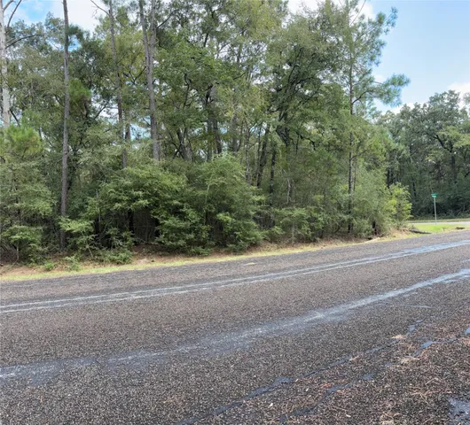 a view of a yard with a large trees