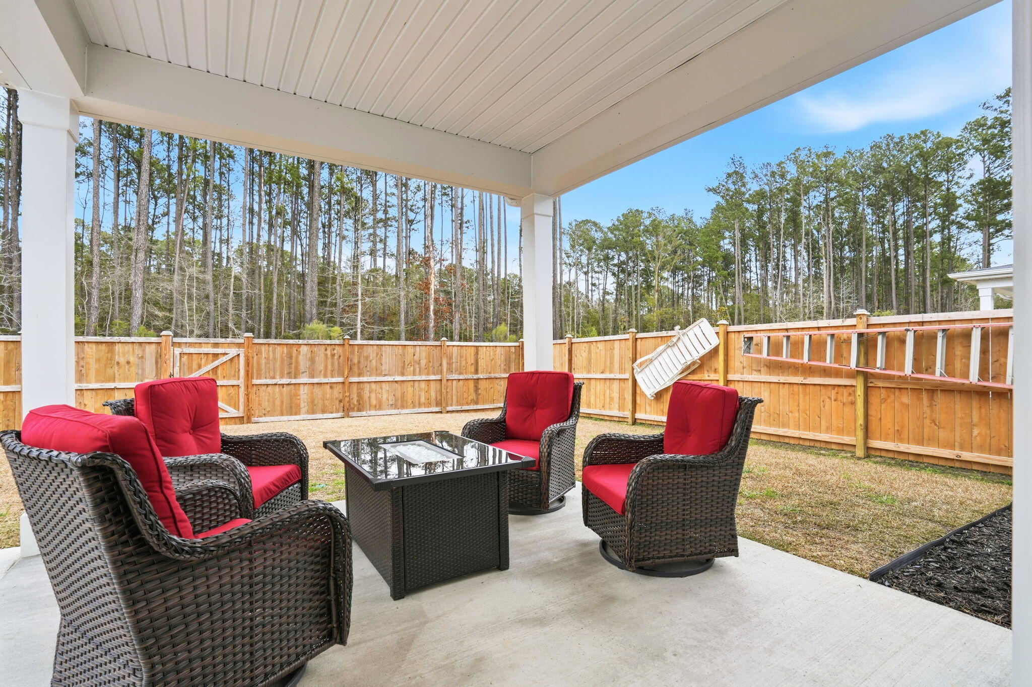 4302 Cotton Flt Road Summerville, SC 29485 - Photo 2 of 31 Back patio