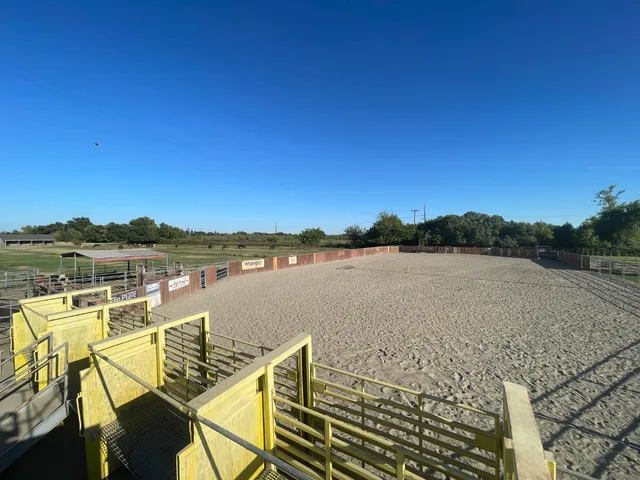 a view of a roof deck with chair and a floor to ceiling window