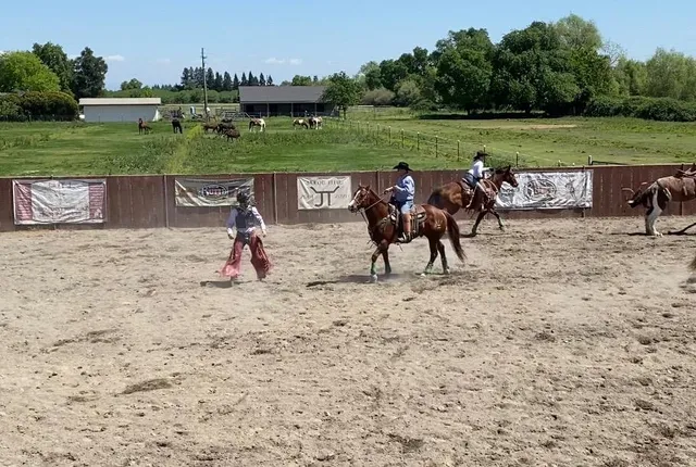 a view of an ocean and beach
