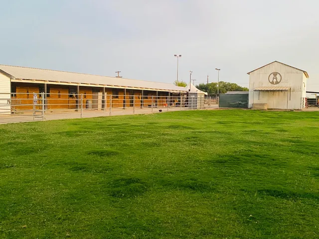 a view of a terrace with chairs