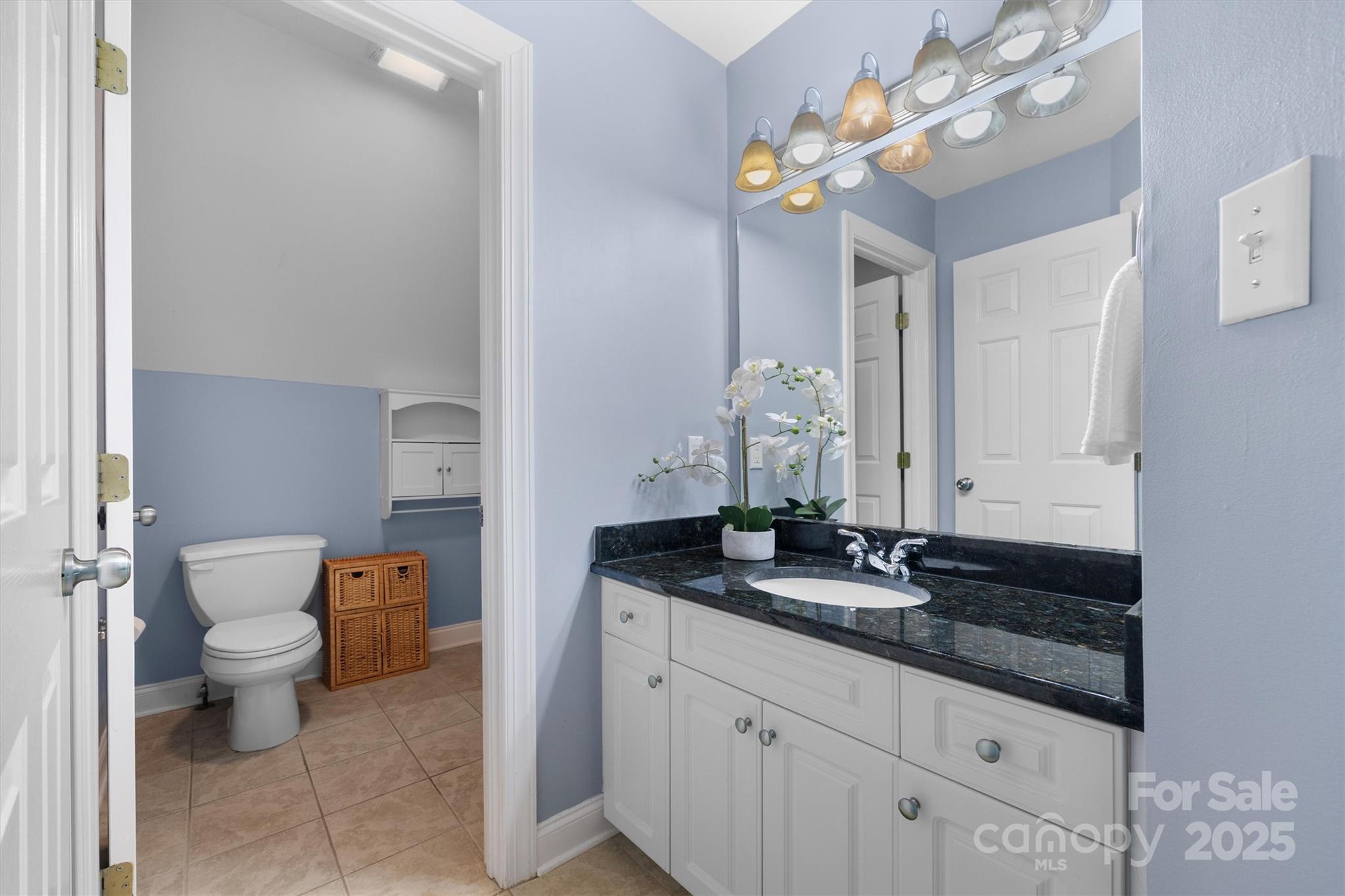 9001 Windjammer Drive Tega Cay, SC 29708 - Photo 27 of 48